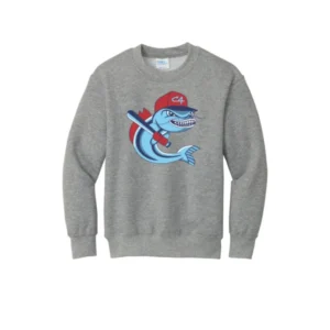 Channel Cats Catfish Logo Youth Sweatshirt